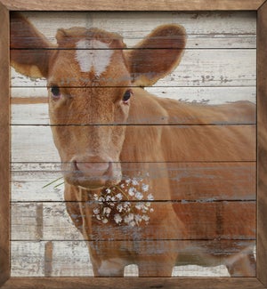 Brown Calf With Flowers